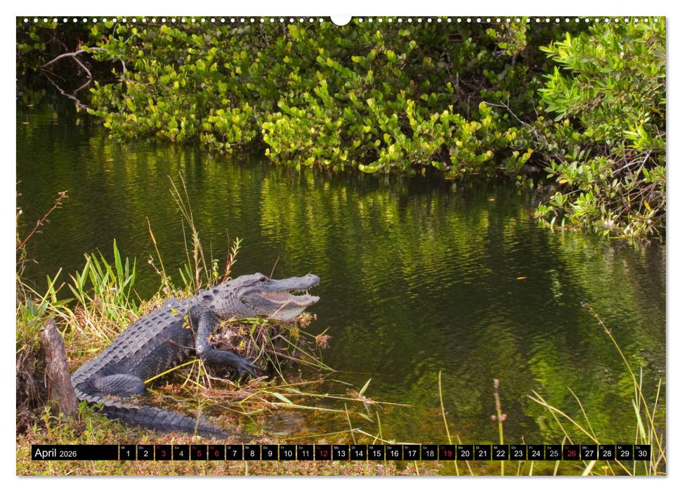 Blickpunkte der USA (CALVENDO Wandkalender 2026)