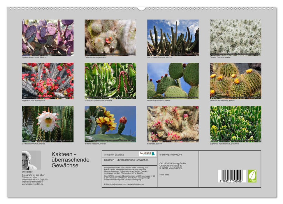 Kakteen - überraschende Gewächse (CALVENDO Premium Wandkalender 2026)