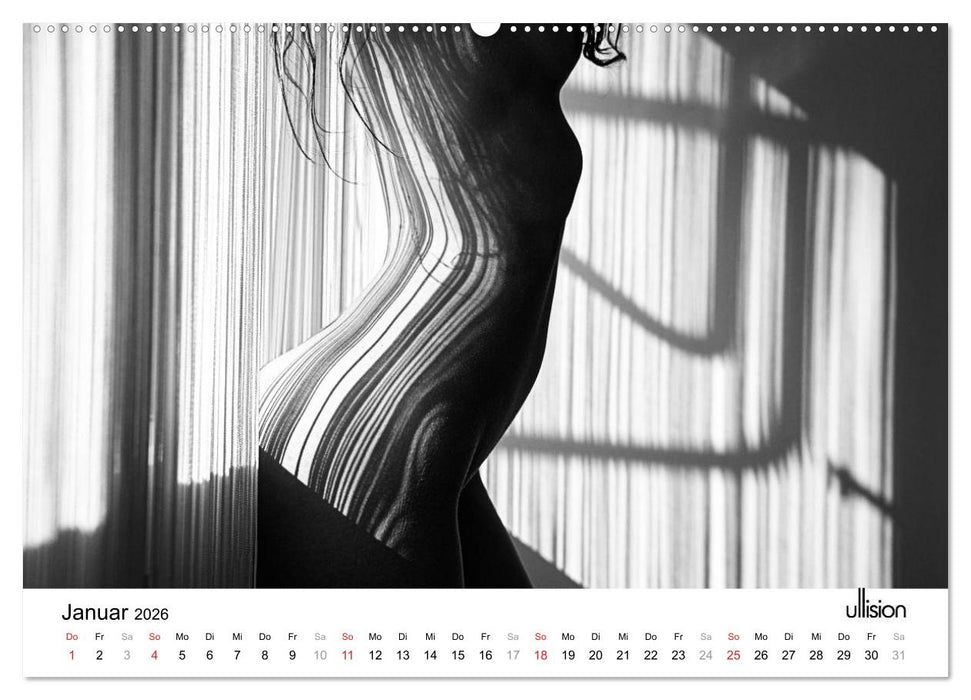 AKT art (CALVENDO Premium Wandkalender 2026)