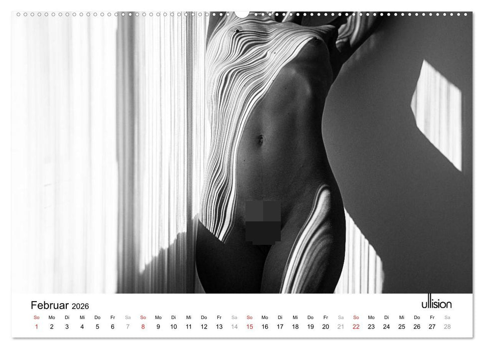AKT art (CALVENDO Premium Wandkalender 2026)