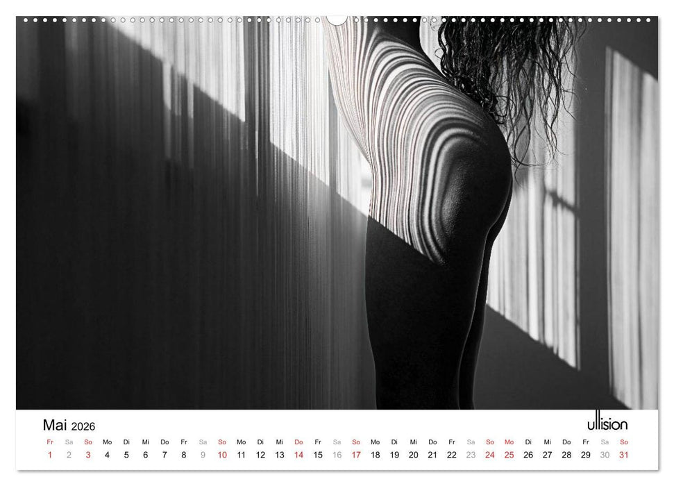 AKT art (CALVENDO Premium Wandkalender 2026)