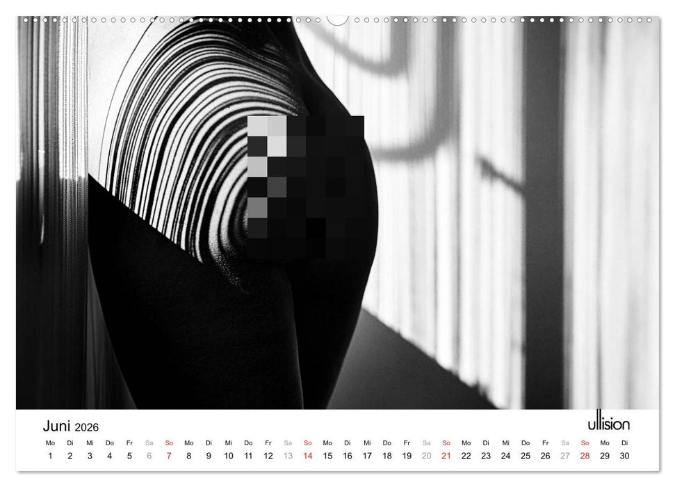 AKT art (CALVENDO Premium Wandkalender 2026)