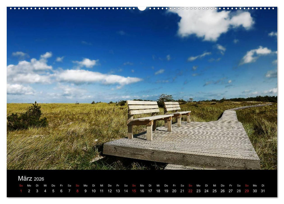 Mecklenburg - Vorpommern (CALVENDO Wandkalender 2026)