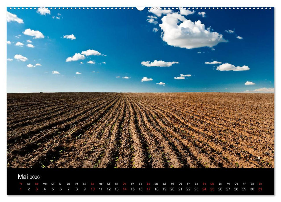 Mecklenburg - Vorpommern (CALVENDO Wandkalender 2026)