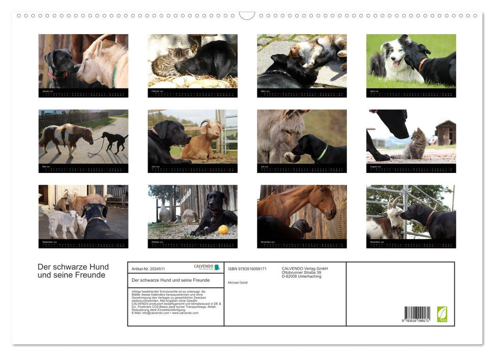Der schwarze Hund und seine Freunde (CALVENDO Wandkalender 2026)
