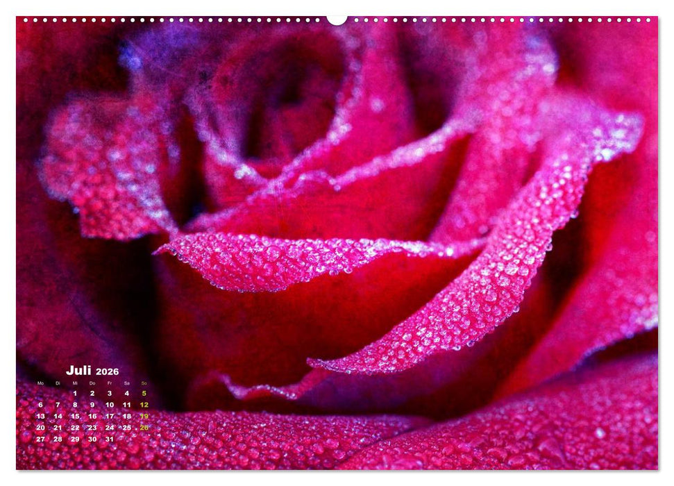 Rosen Romantik (CALVENDO Premium Wandkalender 2026)