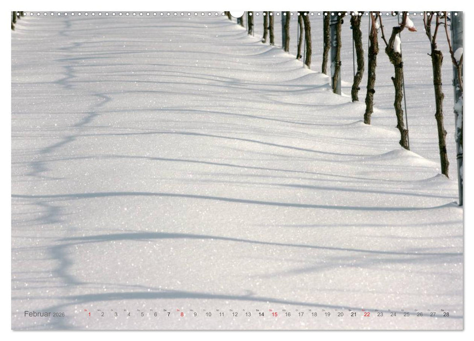 Im Baden-Badener Rebland 2026 (CALVENDO Premium Wandkalender 2026)