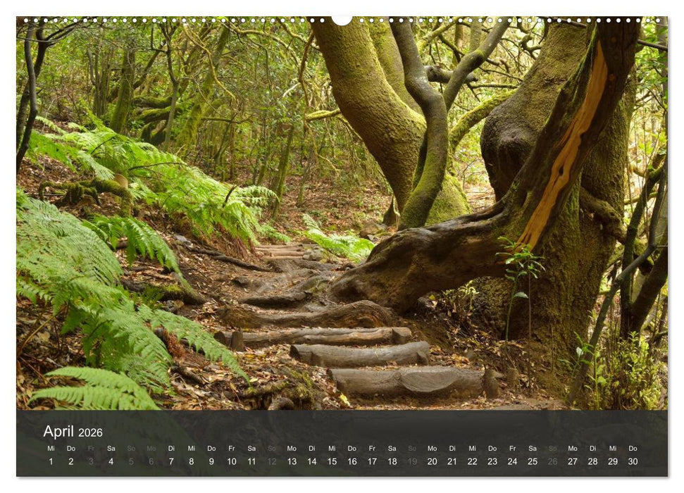 me gusta La Gomera (CALVENDO Premium Wandkalender 2026)