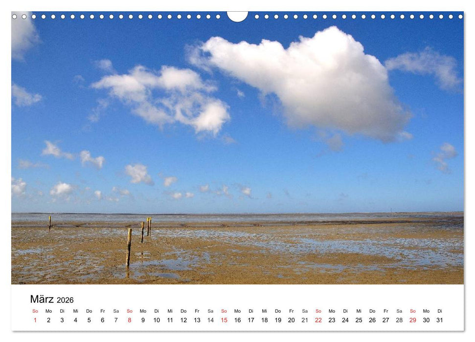 MEER - Mehr! (CALVENDO Wandkalender 2026)