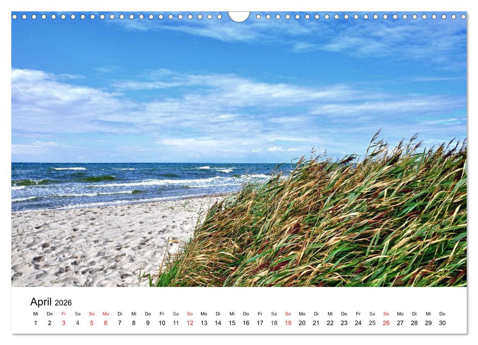 MEER - Mehr! (CALVENDO Wandkalender 2026)