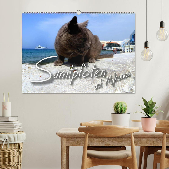 SAMTPFOTEN auf Mykonos (CALVENDO Wandkalender 2026)