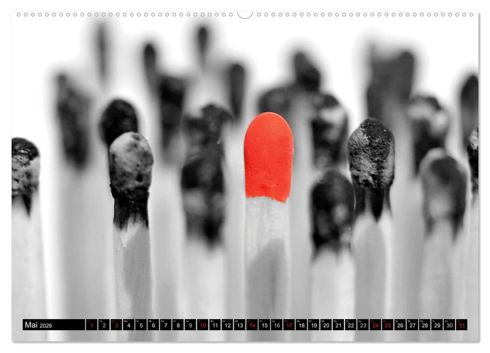 Schwarz - Weiß - Rot (CALVENDO Wandkalender 2026)