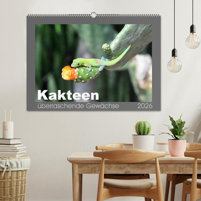 Kakteen - überraschende Gewächse (CALVENDO Wandkalender 2026)