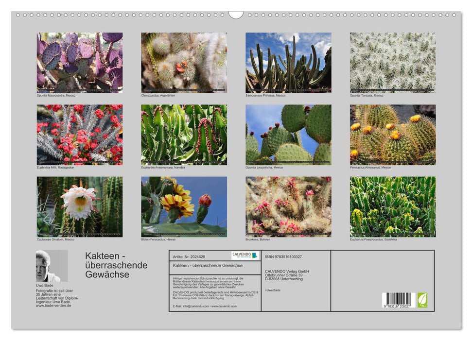 Kakteen - überraschende Gewächse (CALVENDO Wandkalender 2026)