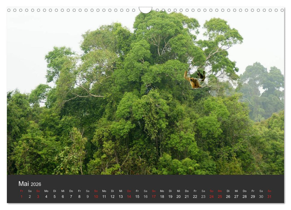 Thailand - exotisch und faszinierend (CALVENDO Wandkalender 2026)