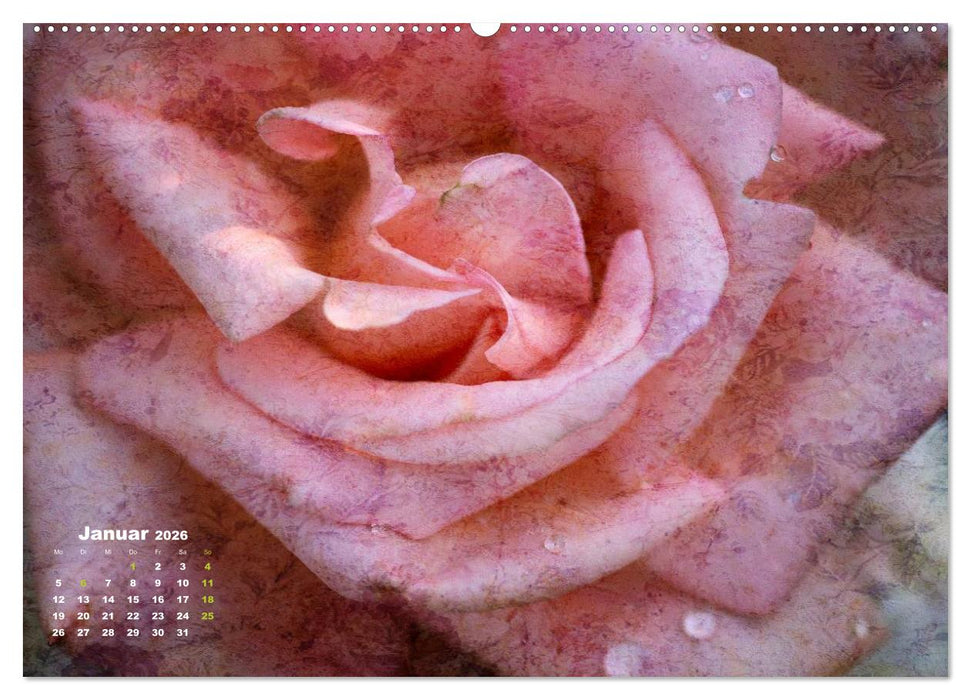 Rosen Romantik (CALVENDO Wandkalender 2026)