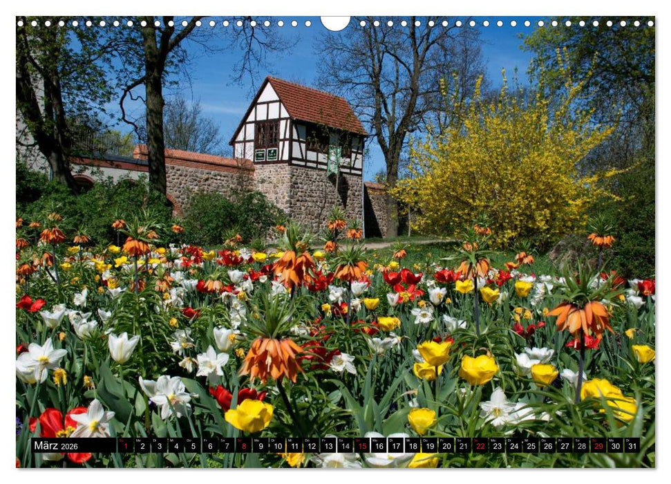 MEIN DEUTSCHLAND (CALVENDO Wandkalender 2026)