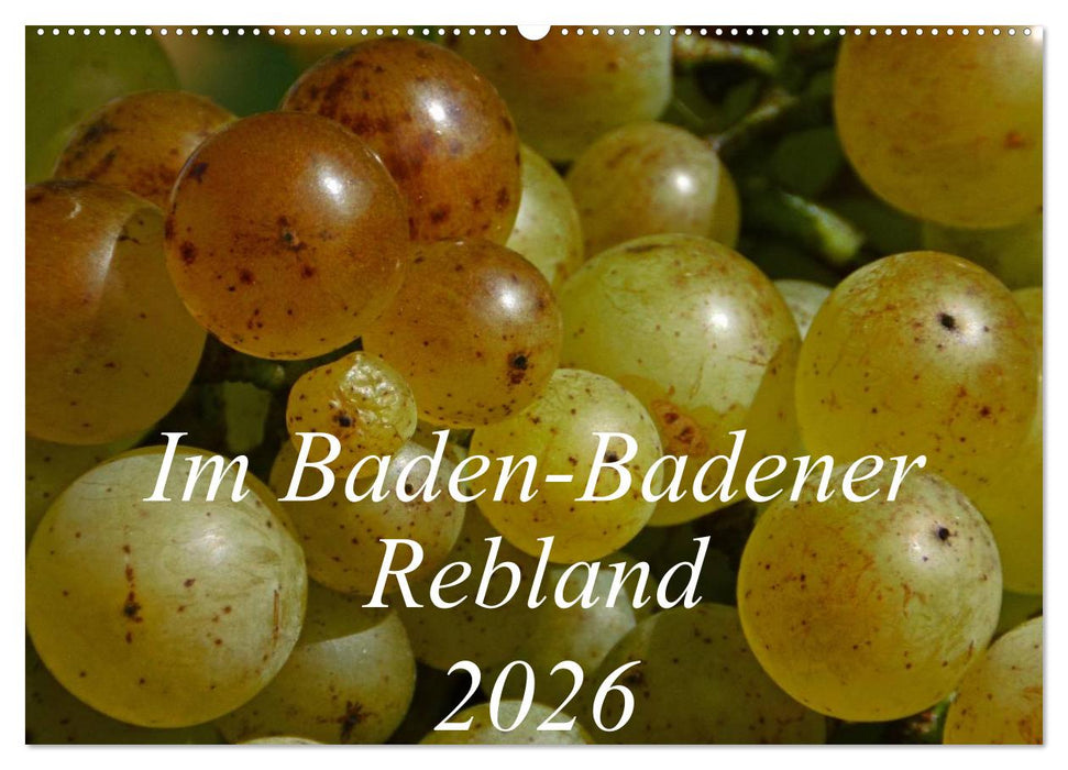 Im Baden-Badener Rebland 2026 (CALVENDO Wandkalender 2026)