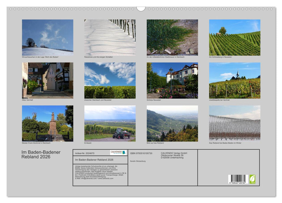 Im Baden-Badener Rebland 2026 (CALVENDO Wandkalender 2026)