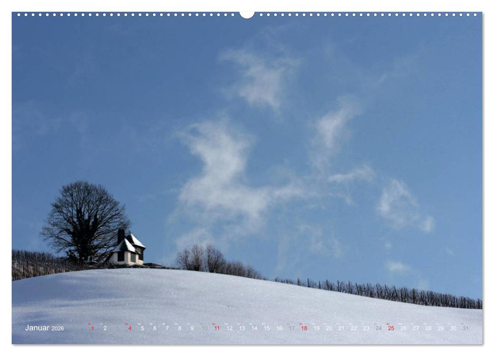Im Baden-Badener Rebland 2026 (CALVENDO Wandkalender 2026)