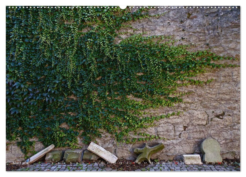 Im Baden-Badener Rebland 2026 (CALVENDO Wandkalender 2026)