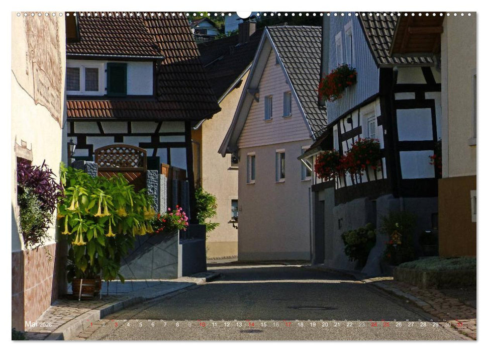 Im Baden-Badener Rebland 2026 (CALVENDO Wandkalender 2026)