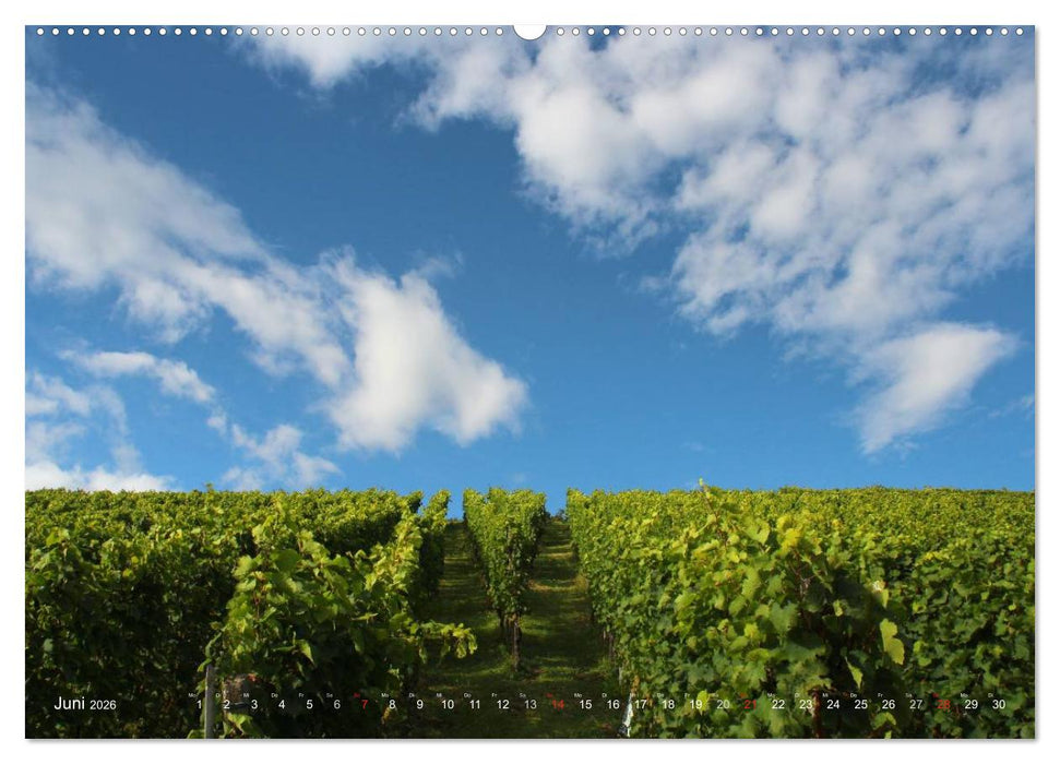 Im Baden-Badener Rebland 2026 (CALVENDO Wandkalender 2026)