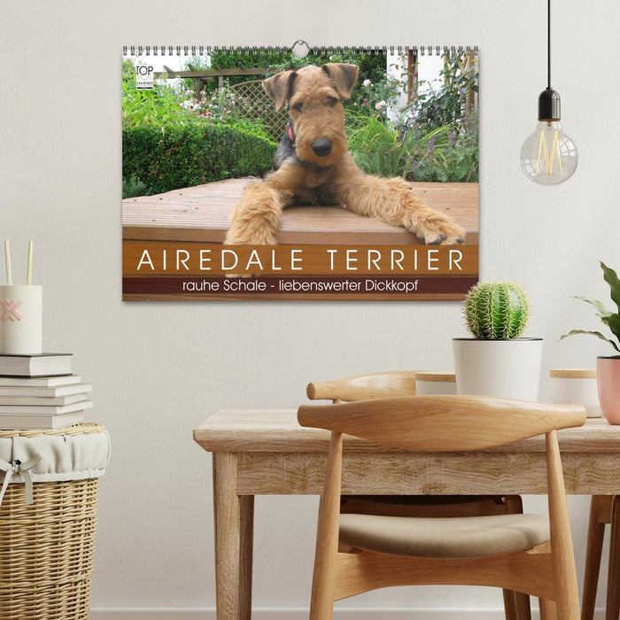 Airedale Terrier (CALVENDO Wandkalender 2026)