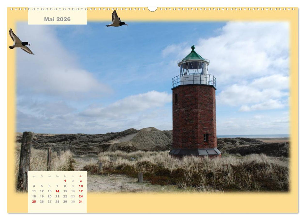 Leuchttürme Schleswig-Holsteins (CALVENDO Premium Wandkalender 2026)