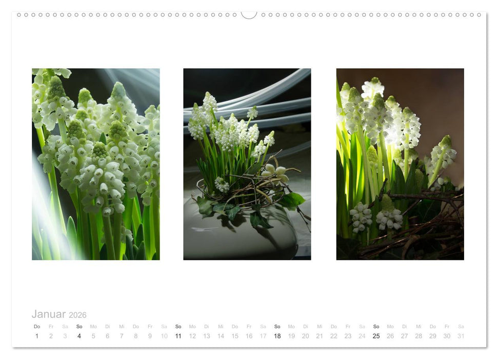 Blumen Trilogien (CALVENDO Wandkalender 2026)