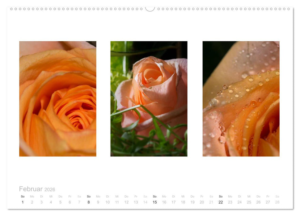 Blumen Trilogien (CALVENDO Wandkalender 2026)