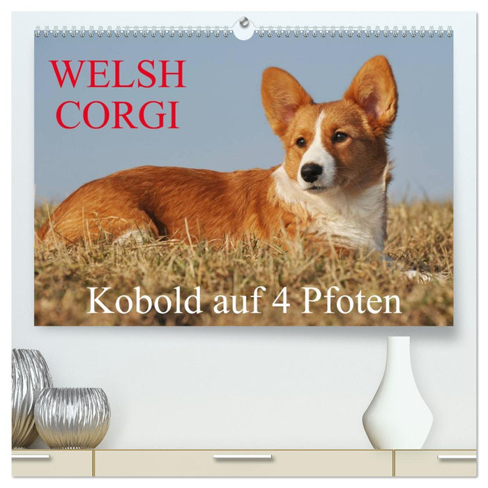 Welsh Corgi - Kobold auf 4 Pfoten (CALVENDO Premium Wandkalender 2026)