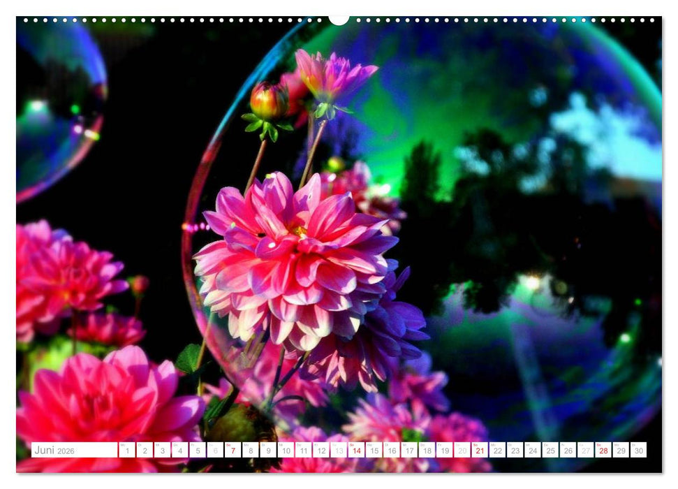 Seifenblasen Skulpturen und Strukturen (CALVENDO Wandkalender 2026)