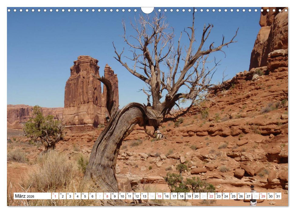 Zeit zum Träumen - Panamericana 2026 (CALVENDO Wandkalender 2026)