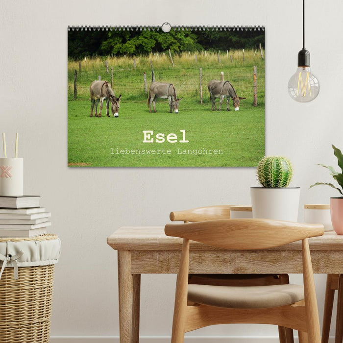 Esel - liebenswerte Langohren (CALVENDO Wandkalender 2026)