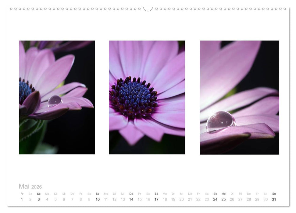 Blumen Trilogien (CALVENDO Premium Wandkalender 2026)