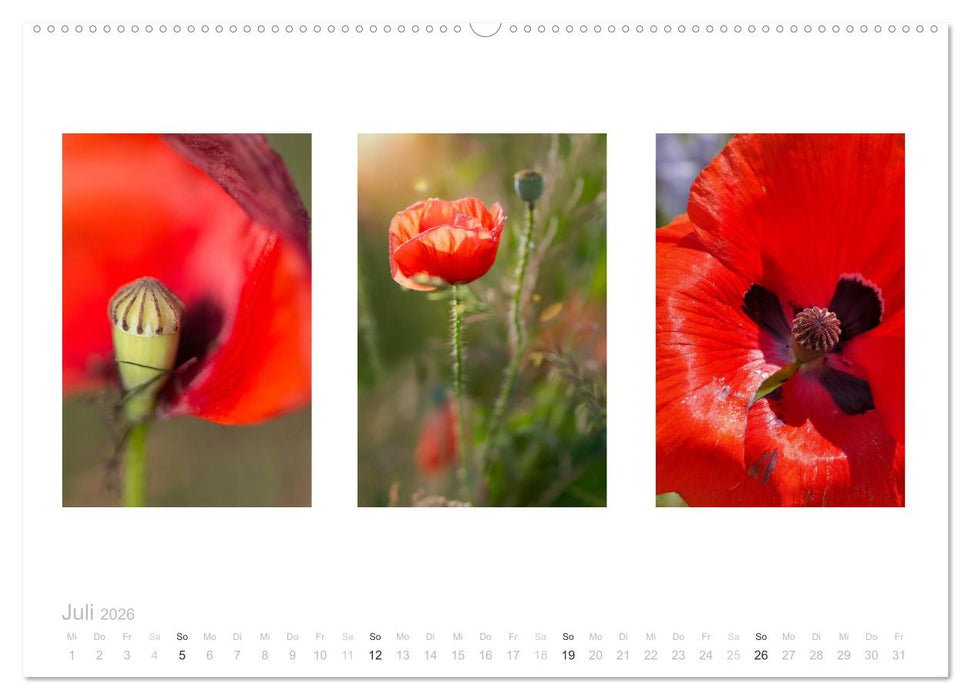 Blumen Trilogien (CALVENDO Premium Wandkalender 2026)