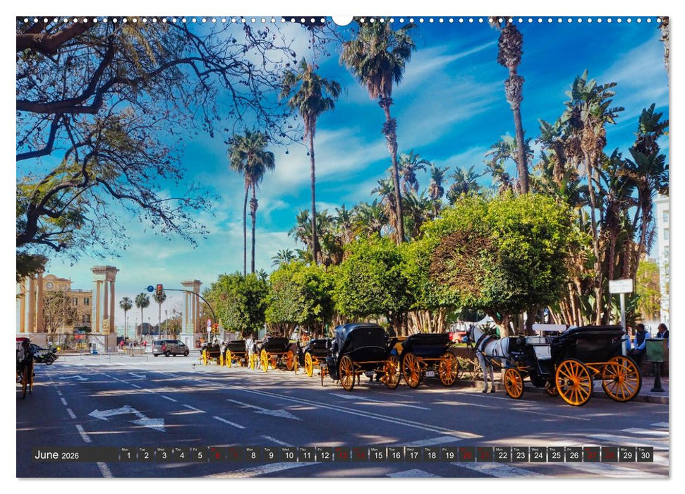 Andalusia sunny side of life (CALVENDO Monthly Calendar 2026)