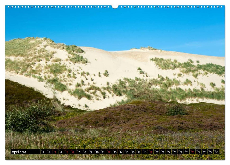 Sylt in Bildern (CALVENDO Wandkalender 2026)