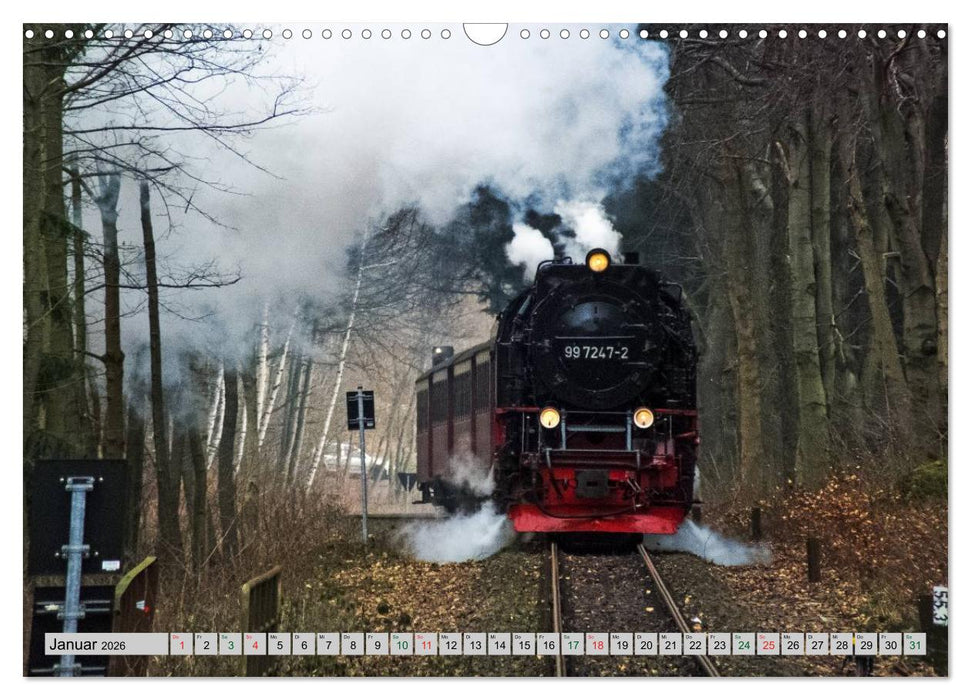 Unter Dampf durch den Harz (CALVENDO Wandkalender 2026)