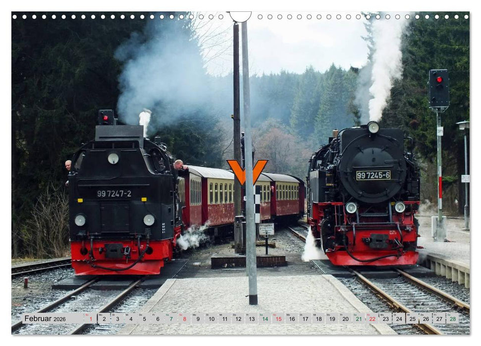 Unter Dampf durch den Harz (CALVENDO Wandkalender 2026)