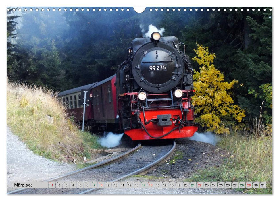 Unter Dampf durch den Harz (CALVENDO Wandkalender 2026)