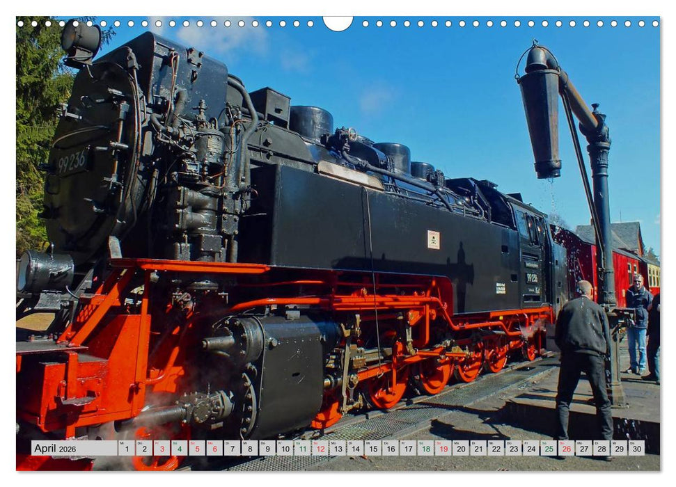 Unter Dampf durch den Harz (CALVENDO Wandkalender 2026)