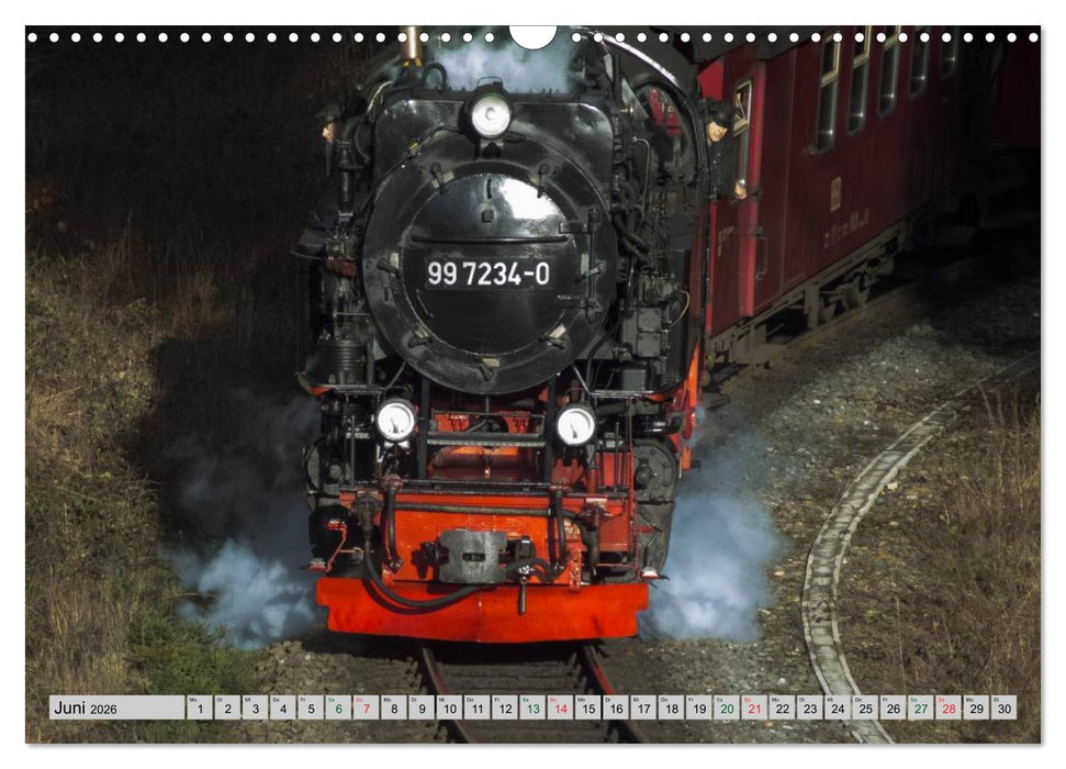 Unter Dampf durch den Harz (CALVENDO Wandkalender 2026)