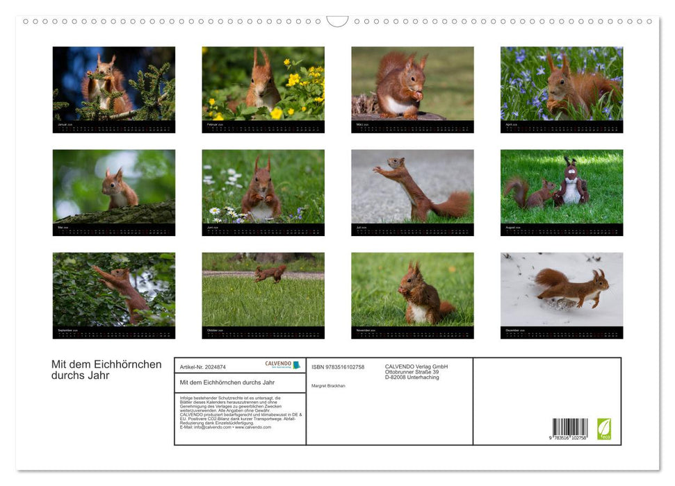Mit dem Eichhörnchen durchs Jahr (CALVENDO Wandkalender 2026)