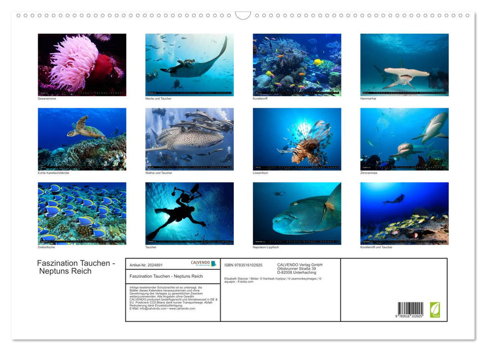 Faszination Tauchen - Neptuns Reich (CALVENDO Wandkalender 2026)