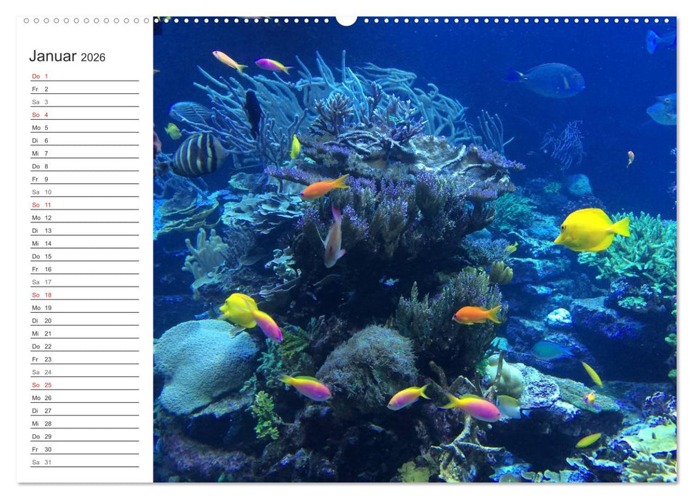 Malediven (CALVENDO Premium Wandkalender 2026)