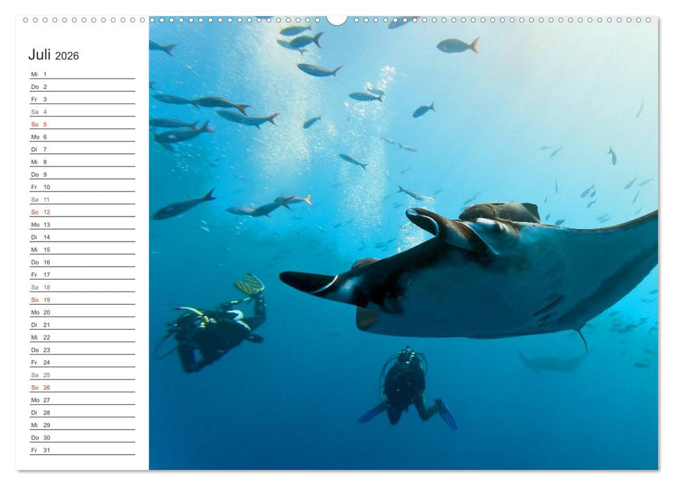 Malediven (CALVENDO Premium Wandkalender 2026)