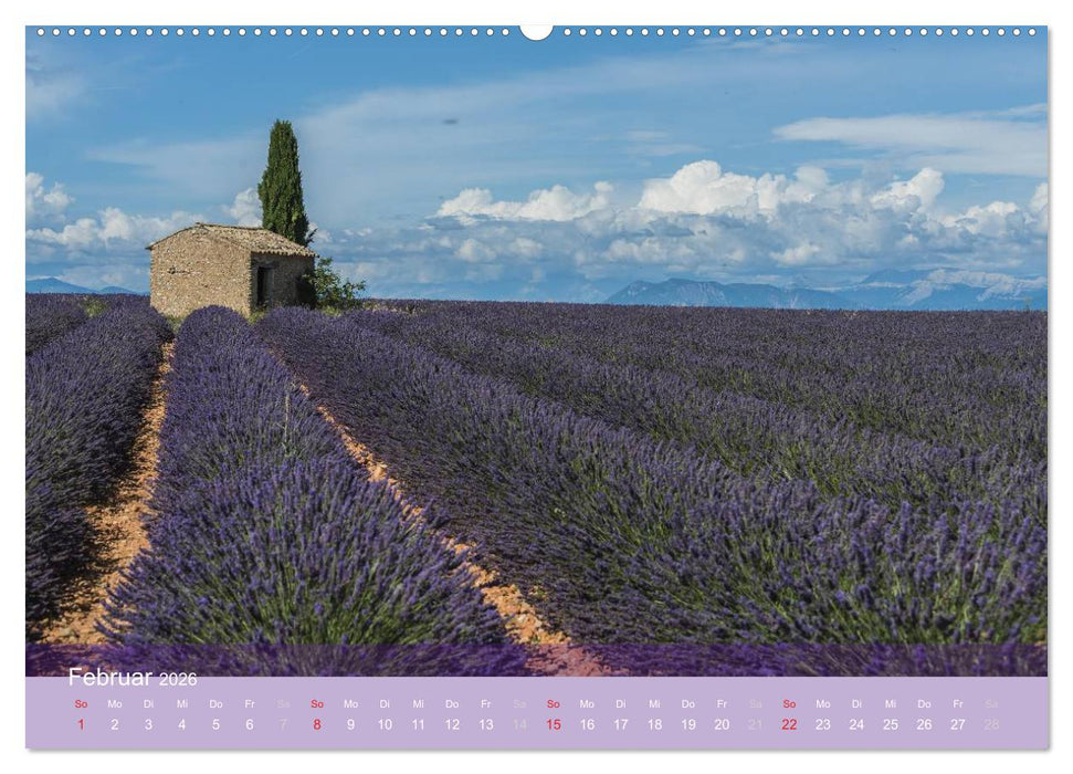Die Farbe des Lavendels (CALVENDO Premium Wandkalender 2026)