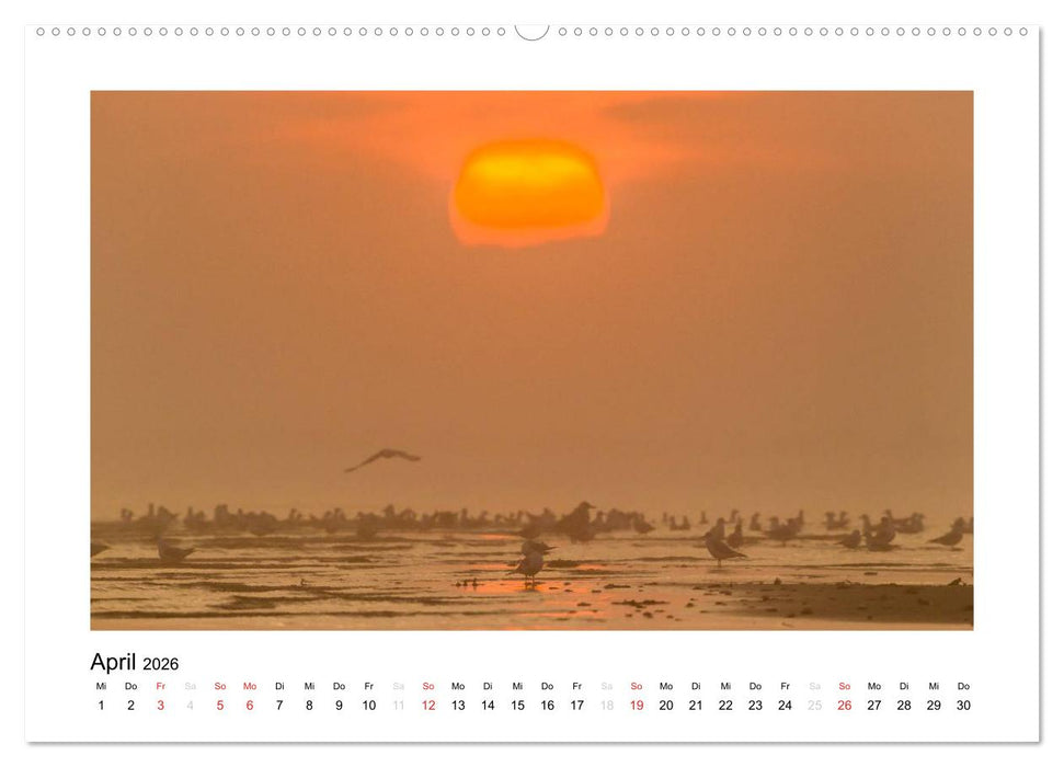 FEHMARN - Magische Momente (CALVENDO Wandkalender 2026)
